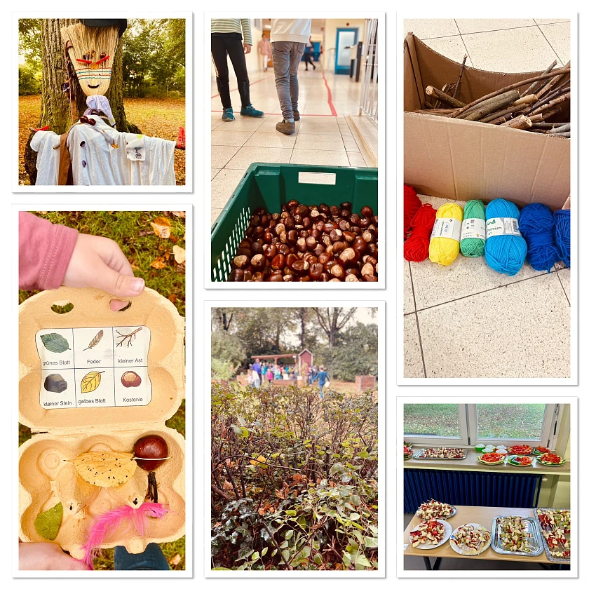 auf einer Photocollage sieht man verschiedene Motive. Eine Vogelscheuche, eine Kiste mit Kastanien, einen Karton mit Stöcken und bunter Wolle sowie einen Blick in den Schulgarten und auf ein Gemüse- und Obstbüffet